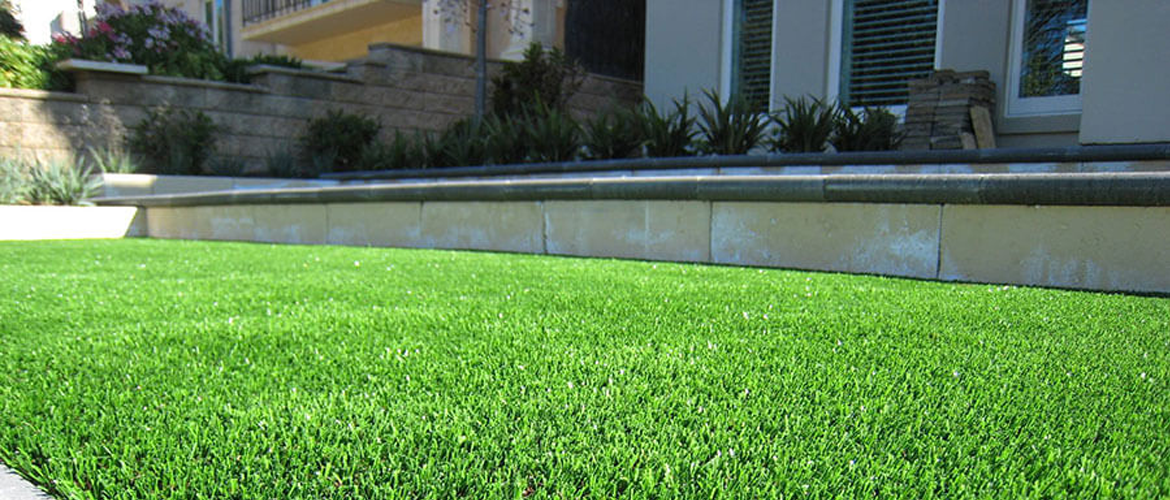 Royal Grass garden close up