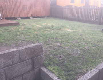 Stubborn patchy grass