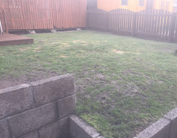 Before - Stubborn patchy grass
